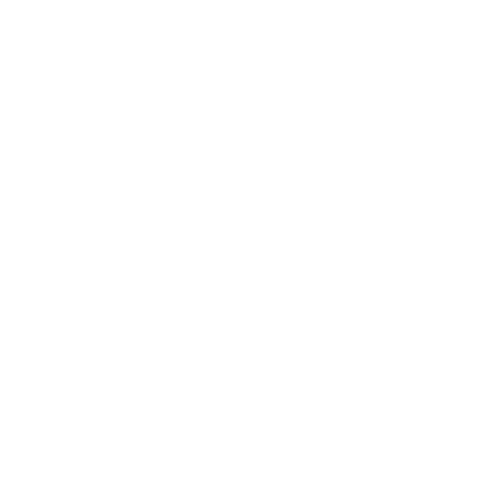 website-icon